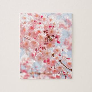 Puzzle Belles fleurs de cerisier japonaises roses Sakura