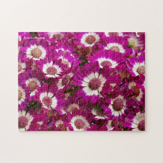 Puzzle Belles fleurs de Cineraria violette (Horizontal)