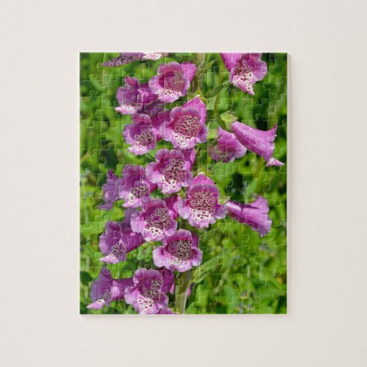 Puzzle Belles fleurs de renard rose (Vertical)