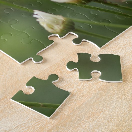 Puzzle Belles marguerites blanches | Fleurs en champ vert (Côté)