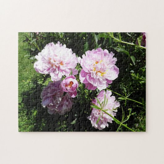 Puzzle Belles pivoines roses florales (Horizontal)