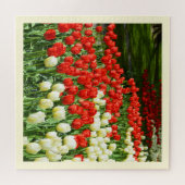 Puzzle Belles tulipes (Horizontal)