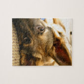 Puzzle Berger allemand (Horizontal)