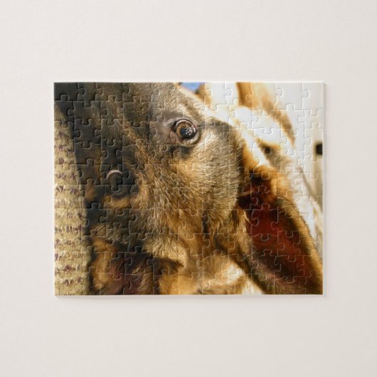 Puzzle Berger allemand (Horizontal)