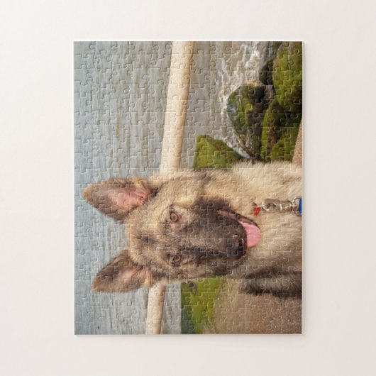 Puzzle Berger Allemand Au Bord De La Mer (Vertical)