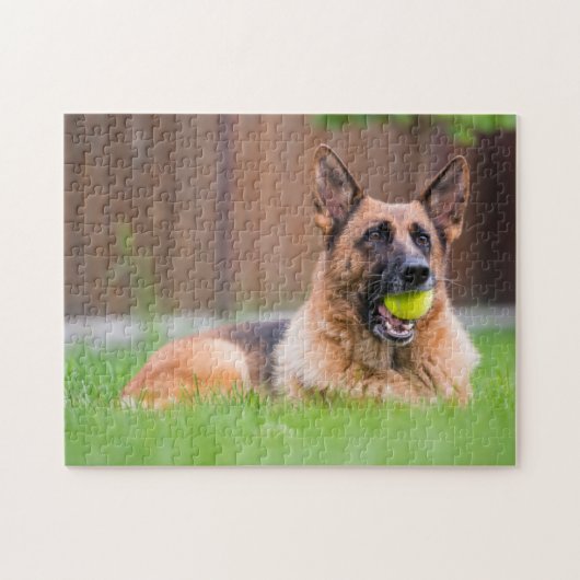 Puzzle Berger Allemand Avec Bal De Tennis (Horizontal)