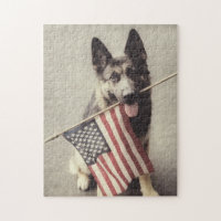 Berger Allemand Avec Drapeau US