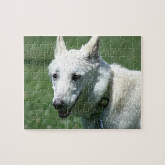 Puzzle Berger allemand blanc (Horizontal)