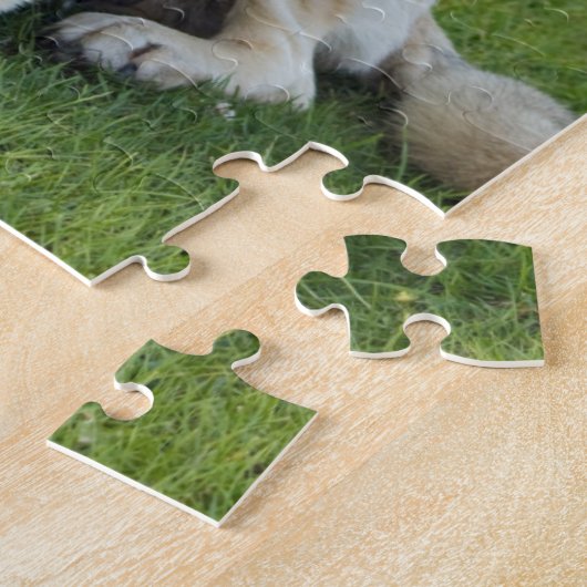 Puzzle Berger anatolien se relaxant dans l'herbe (Côté)