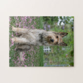 Puzzle Berger Picard (Horizontal)