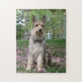 Puzzle Berger Picard (Vertical)