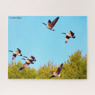 Puzzle Bernache du Canada