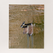 Puzzle Bernache du Canada (Vertical)