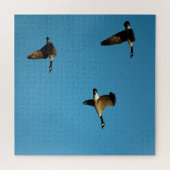 Puzzle Bernaches du Canada (Horizontal)