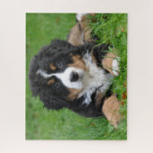 Puzzle Bernese Mountain Dog chiot (Vertical)