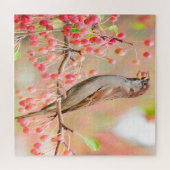 Puzzle Berries de printemps pour manger des oiseaux (Horizontal)