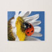 Puzzle Bestiole sur la marguerite (Horizontal)
