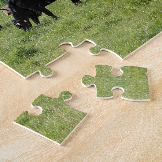 Puzzle Bétail Angus noir (Côté)