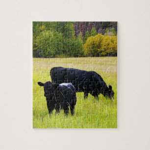 Puzzle Bétail noirs d'Angus frôlant dans le domaine