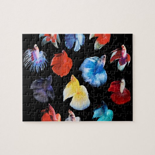 Puzzle Betta 2 (Horizontal)