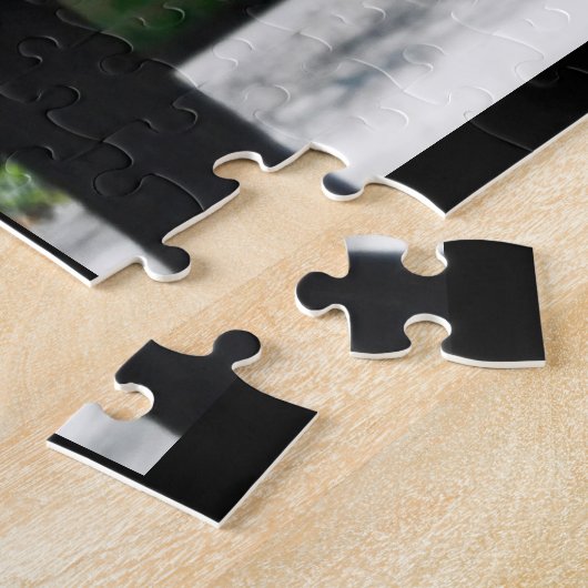 PUZZLE BIBLIOTHÈQUE ITHACA NEW YORK (Côté)