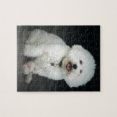 Puzzle Bichon (Horizontal)