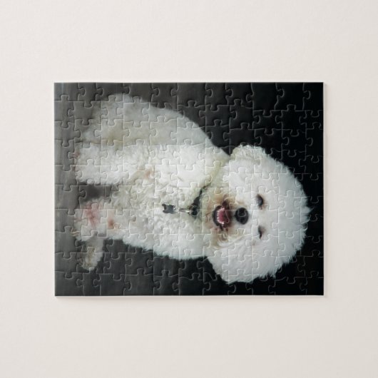 Puzzle Bichon (Horizontal)