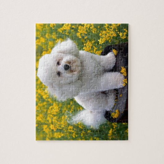 Puzzle Bichon Frise (Vertical)
