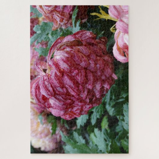 Puzzle Big Beautiful Mums on a Rainy Day! on a (Vertical)