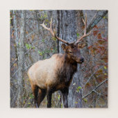 Puzzle Big Game Hunter - Bull Elk - 20x20 pouces (Vertical)