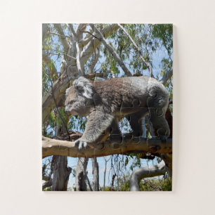 Puzzle Big Homme Australian Koala,