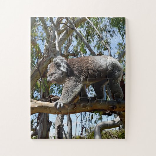 Puzzle Big Homme Australian Koala, (Vertical)