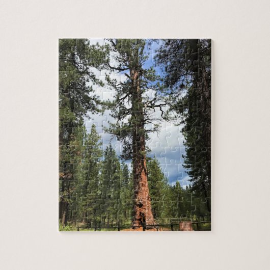 Puzzle Big Red Tree, La Pine, Oregon (Vertical)