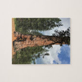 Puzzle Big Red Tree, La Pine OU (Horizontal)