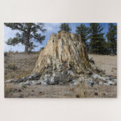 Puzzle Big Stump (Horizontal)