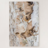 Puzzle Bighorn Sheep Battle (Vertical)