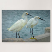 Puzzle Bijoux Herons Floride (Horizontal)