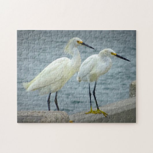 Puzzle Bijoux Herons Floride (Horizontal)