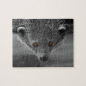 Puzzle Binturong Vous Regardant (Horizontal)