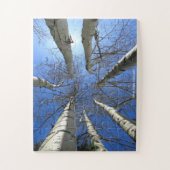 Puzzle Birch Trees Colorado (Vertical)