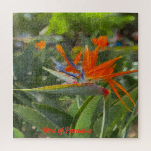 Puzzle Bird of Paradise Oil Painting 