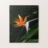 Puzzle Bird of Paradise Orange Tropical Flower (Vertical)