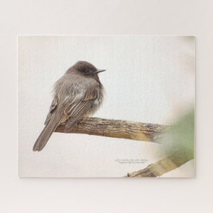 Puzzle Bird On Branch Young Junvenile Black Phoebe Jigsaw