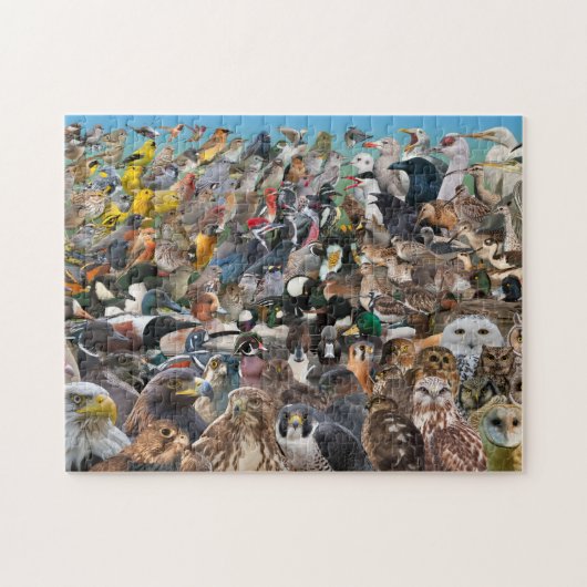 Puzzle Birding grande année (Horizontal)