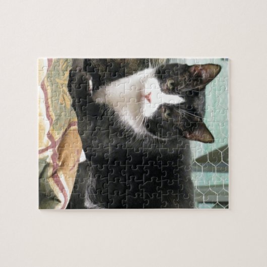 Puzzle Biscuit (Horizontal)