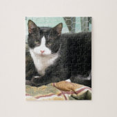 Puzzle Biscuit (Vertical)