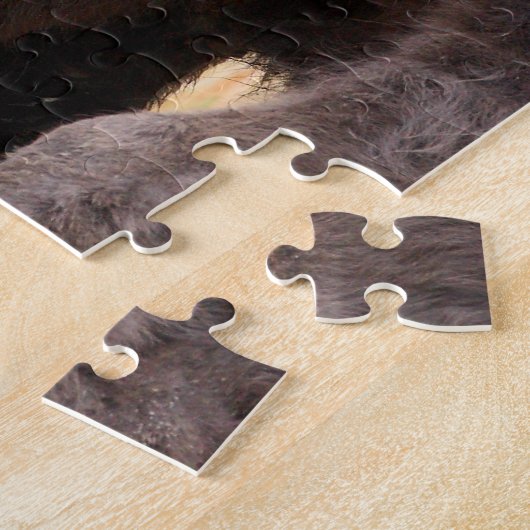 Puzzle bison (Côté)