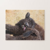 Puzzle bison (Horizontal)