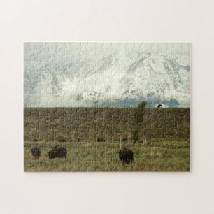 Puzzle Bison à Grand Teton National Park Photographie