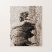 Puzzle Bison agressif et loup noir (Vertical)